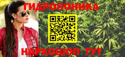 сатива Бузулук