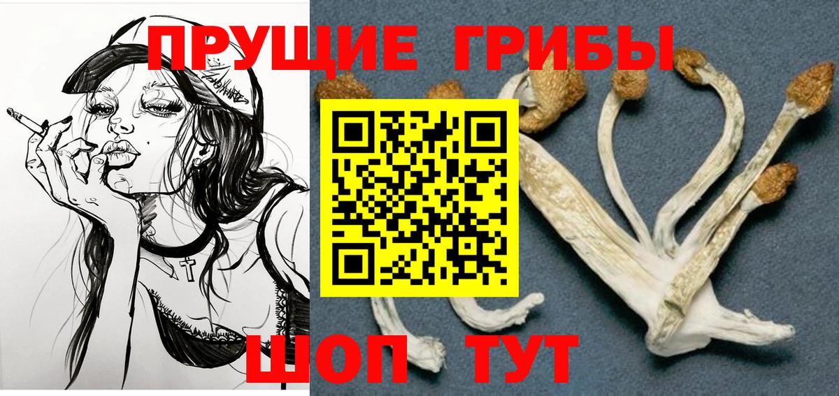 Метадон Курчатов