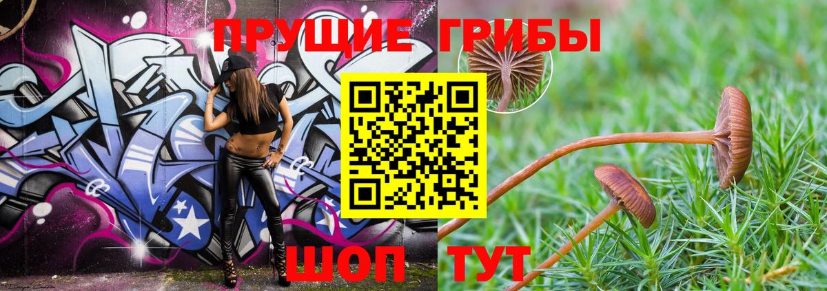 Псилоцибиновые грибы Cubensis  Вход с VPN  Галлюциногенные грибы MAGIC MUSHROOMS  Курчатов 